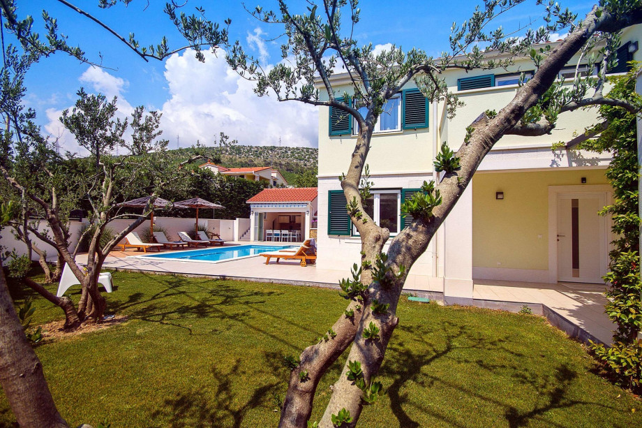 The grassland with olive trees offers a Dalmatian atmosphere