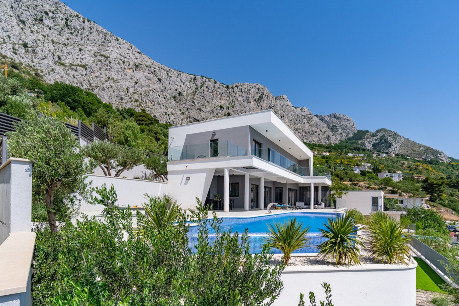 Enjoy in your privacy, surrounded by Mediterranean plants and olive trees