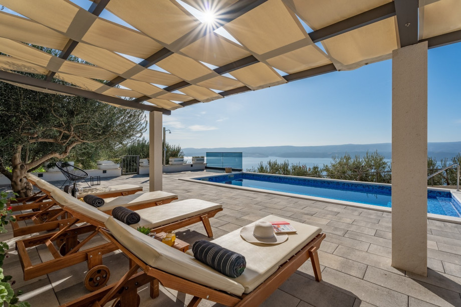 Enjoy sunbathing surrounded by olive trees
