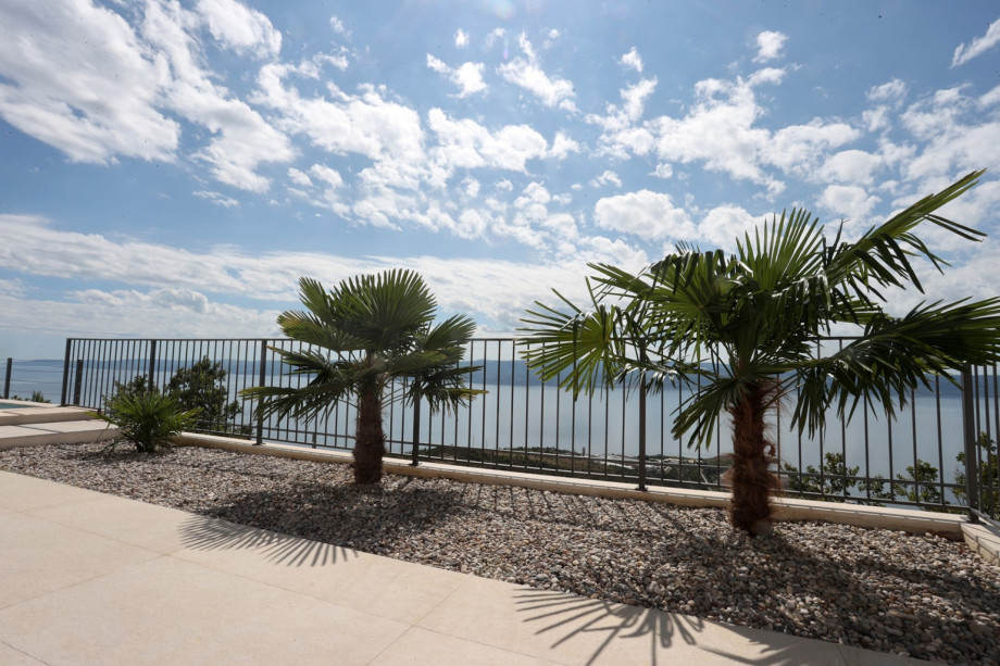 Palm trees accent the 744 sqm plot, creating a Mediterranean atmosphere near the pool.