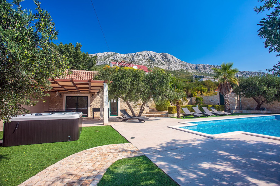 There is a huge sun deck area surrounded with olive and palm trees.